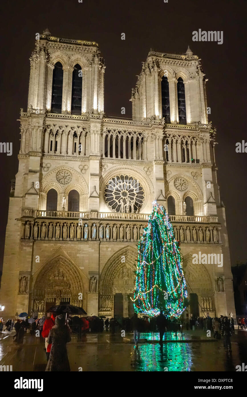 Christmas tree in front of Notre Dame de Paris on a rainy winter's