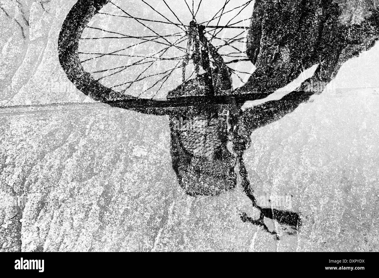reflection of bicycle on puddle. Black and white Stock Photo
