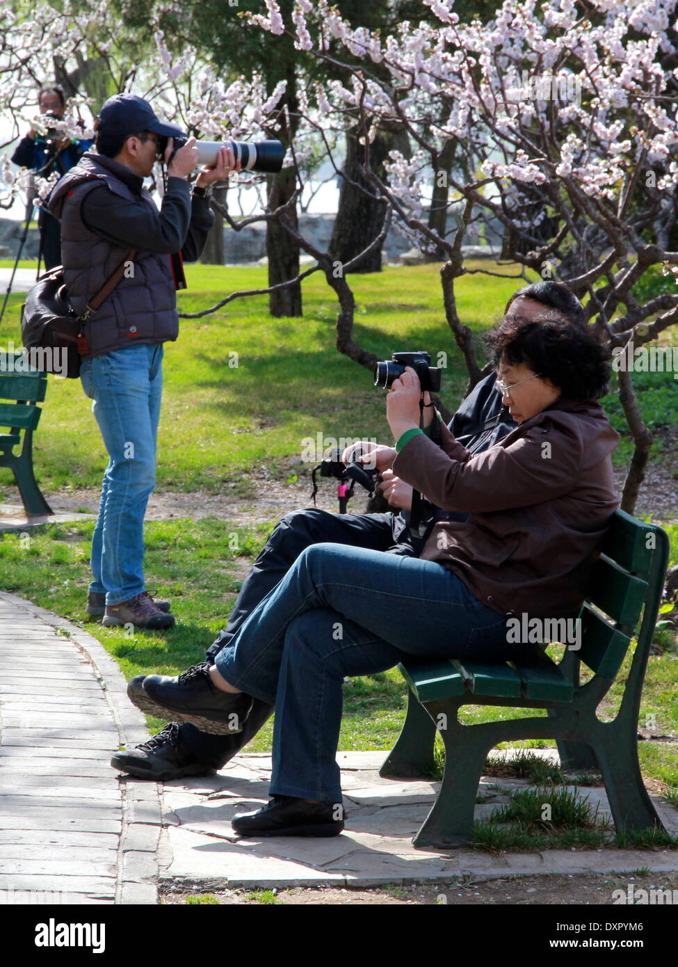 Beijing, China. 29th Mar, 2014. Visitors take photos in the Summer Palace of Beijing, capital of China, March 29, 2014. The fine weather attracted many people to go out for a visit as spring is coming. © Han Ye/Xinhua/Alamy Live News Stock Photo