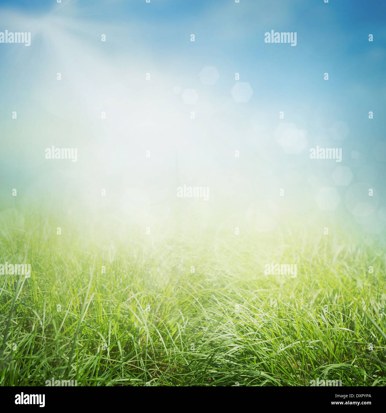 Design background. Spring or summer nature background Stock Photo - Alamy