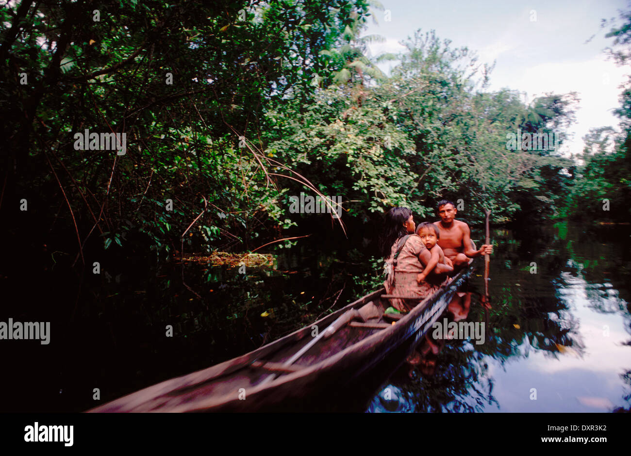 Warao Indians in a dugout canoe, Orinoco River Delta, Venezuela, South America. The Warao are an indigenous people inhabiting Stock Photo