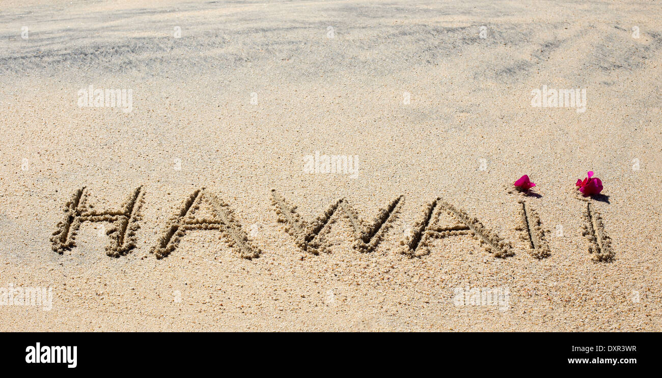 Closeup hawaii hi-res stock photography and images - Alamy