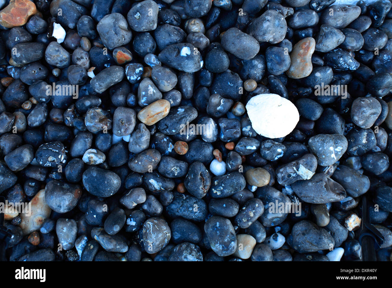 Pebbles on Worthing Beach, Worthing town, West Sussex County, England, UK Stock Photo