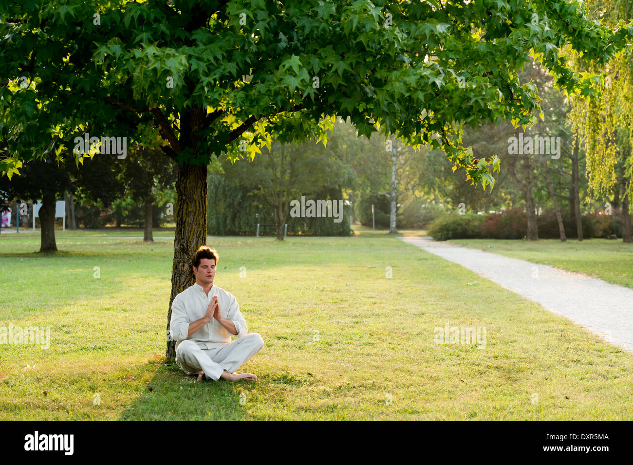 Young Man Meditating Under A Tree Stock Photo Alamy Young Man Meditating Under A Tree Stock Photo Alamy