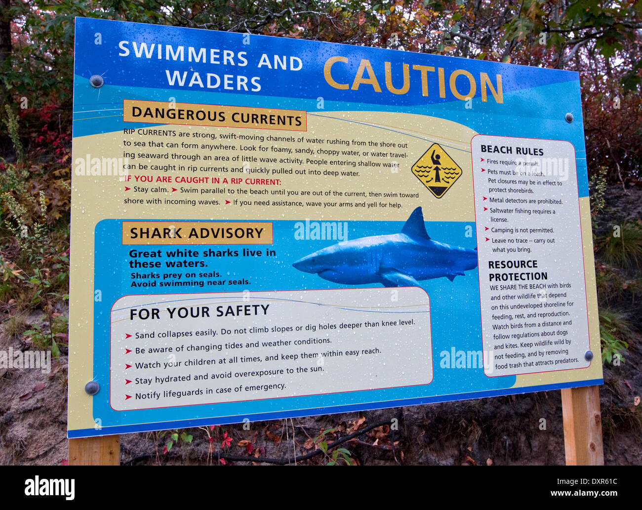 Shark Safety at Cape Cod - Cape Cod National Seashore (U.S.
