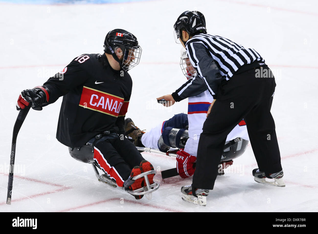 Paralympic ice sledge hockey hi-res stock photography and images - Alamy