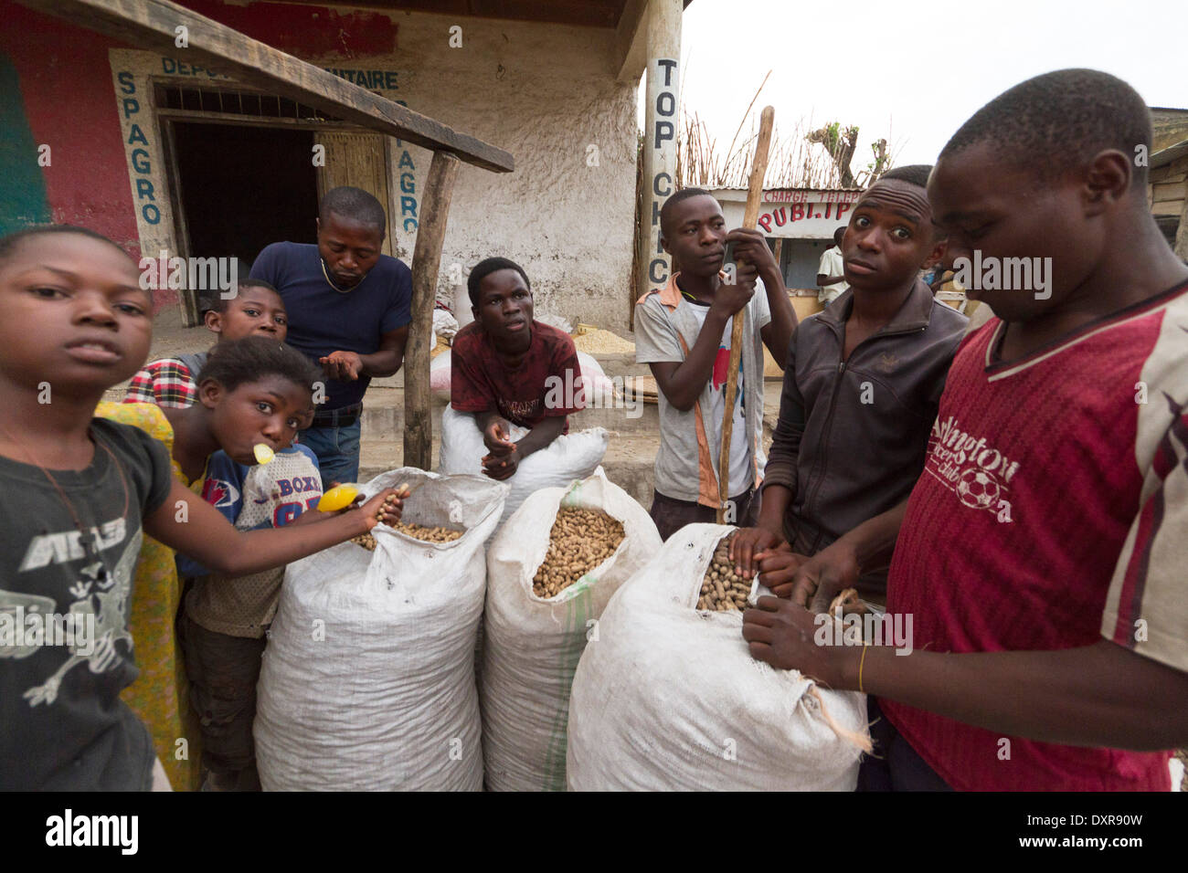 harvested peanuts in a farmer, Rutshuru,North Kivu,Congo ,DRC , Democratic Republic of Congo, Africa Stock Photo