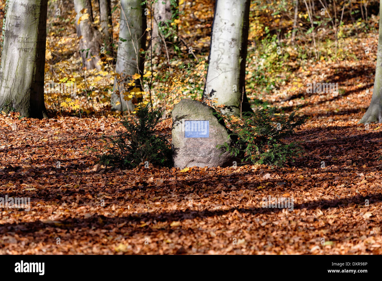 Kleinmachnow, Germany, Nordahl Grieg Memorial Stone Stock Photo
