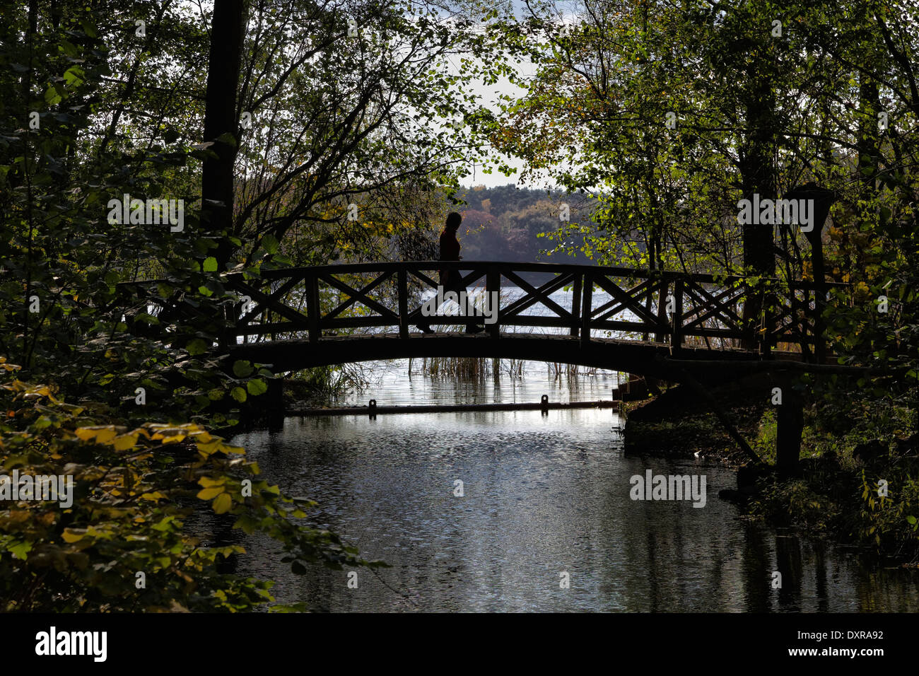 Berlin, Germany, Autumn at Grunewaldsee Stock Photo