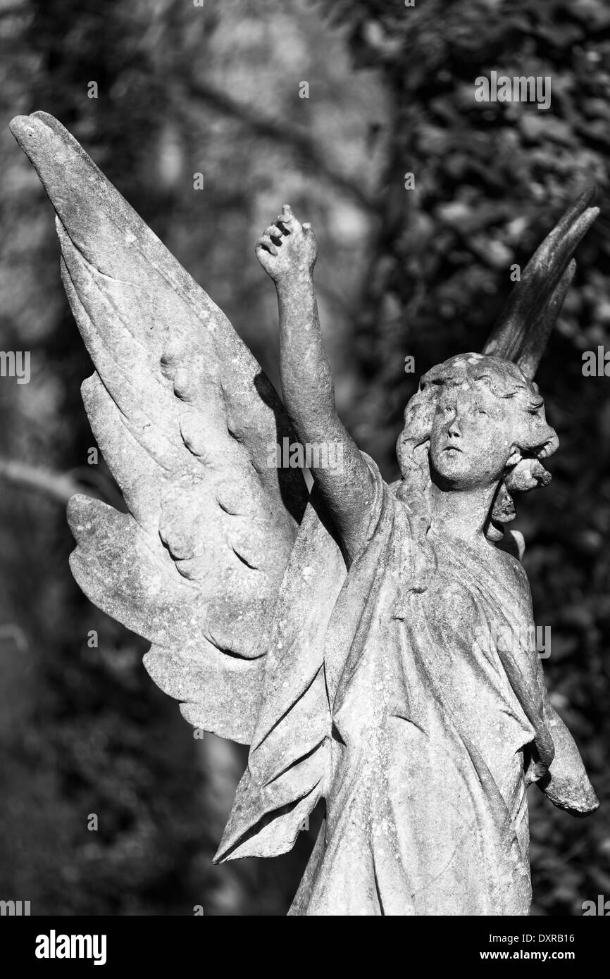 Angel statue in highgate cemetery hi-res stock photography and images ...