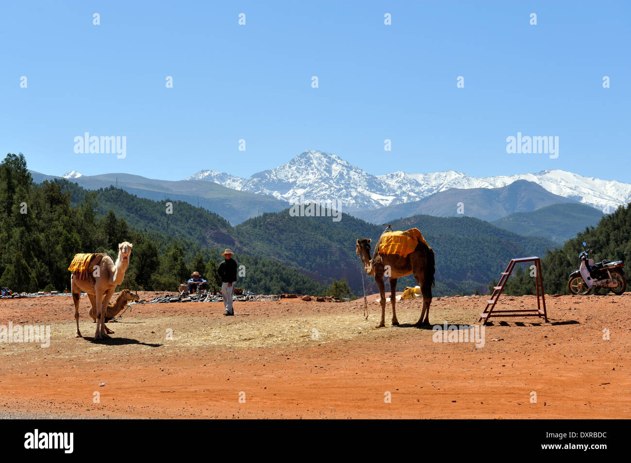 Roadside viewpoint of Atlas mountains on way to Oukaimeden with men set to sell souvenirs or have photos with camels to tourists Stock Photo