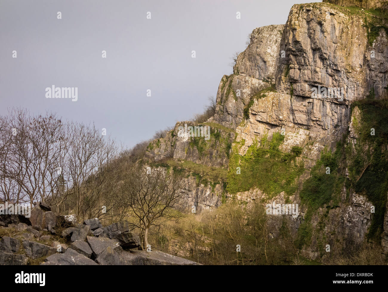 Rock Face in The Cheddar Gorge, Somerset, England, UK Stock Photo