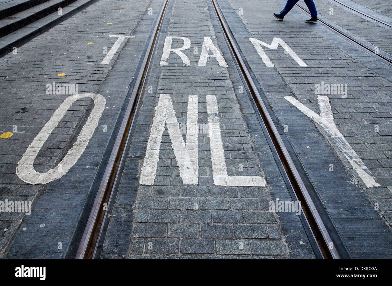 Tram Only markings and tram tracks in the centre of Edinburgh, Scotland, UK. Stock Photo