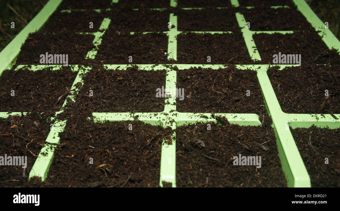 close up image of seed modules filled with compost Stock Photo