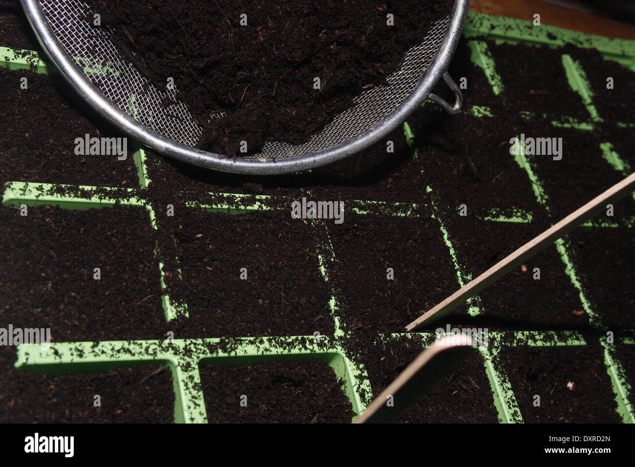 close up image of seed modules filled with sieved compost Stock Photo