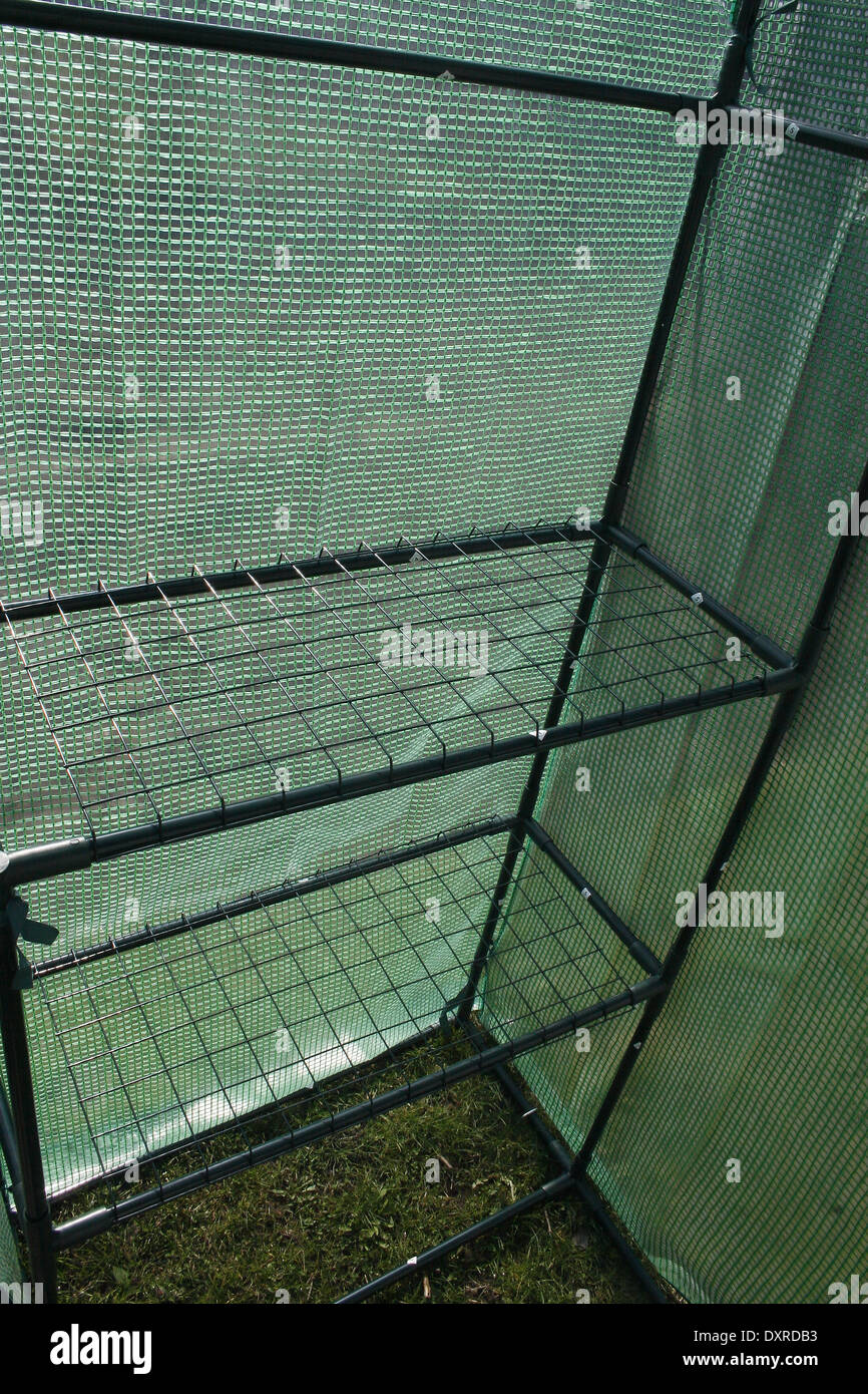 plastic coated wire shelving in plastic greenhouse Stock Photo Alamy