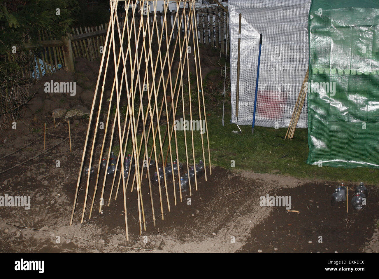 wigwam of bamboo canes in garden with greenhouses Stock Photo