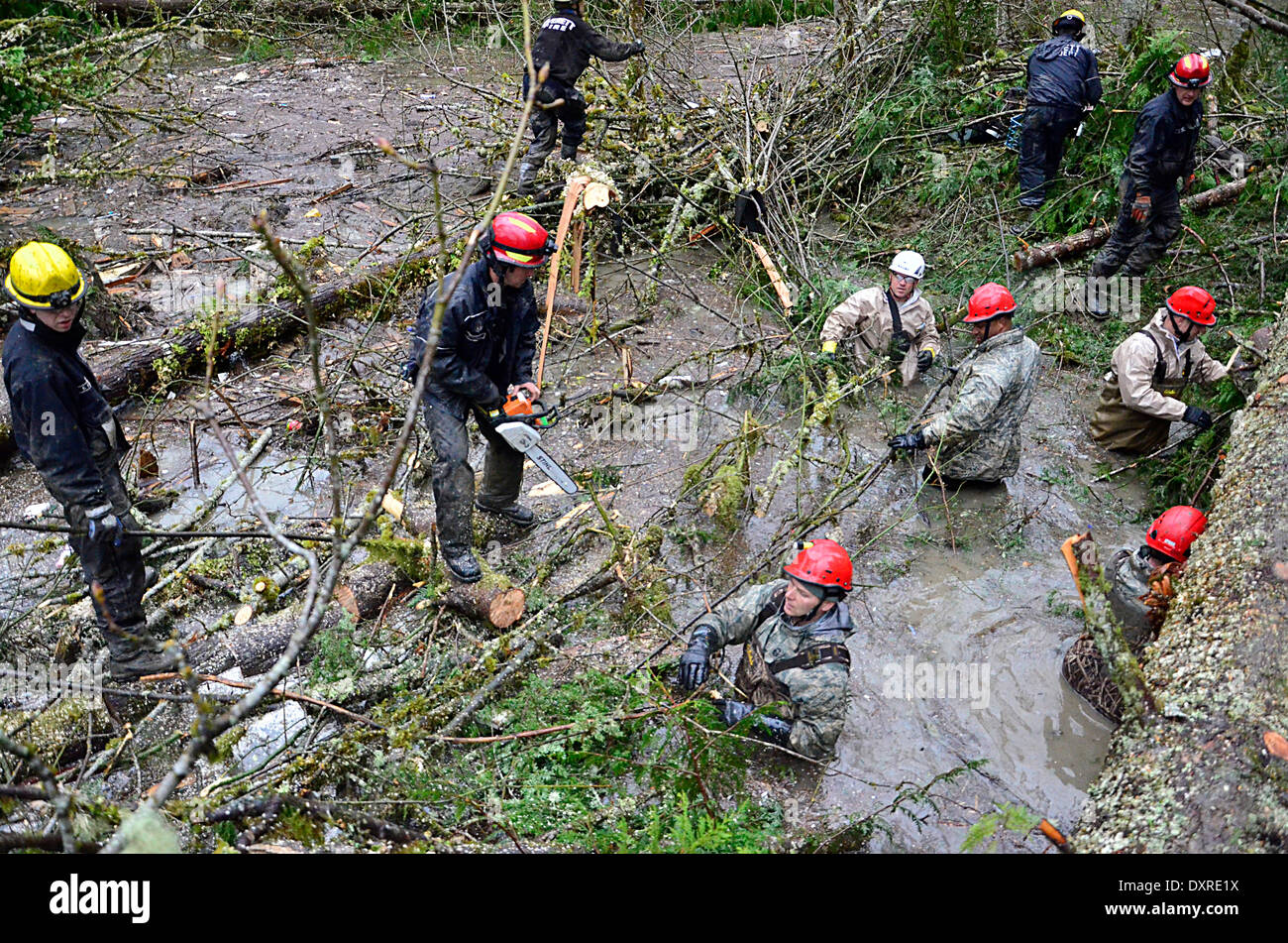 Rescue workers continue efforts to locate victims of a massive landslide that killed at least 28 people and destroyed a small riverside village in northwestern Washington state March 29, 2014 in Oso, Washington. Stock Photo
