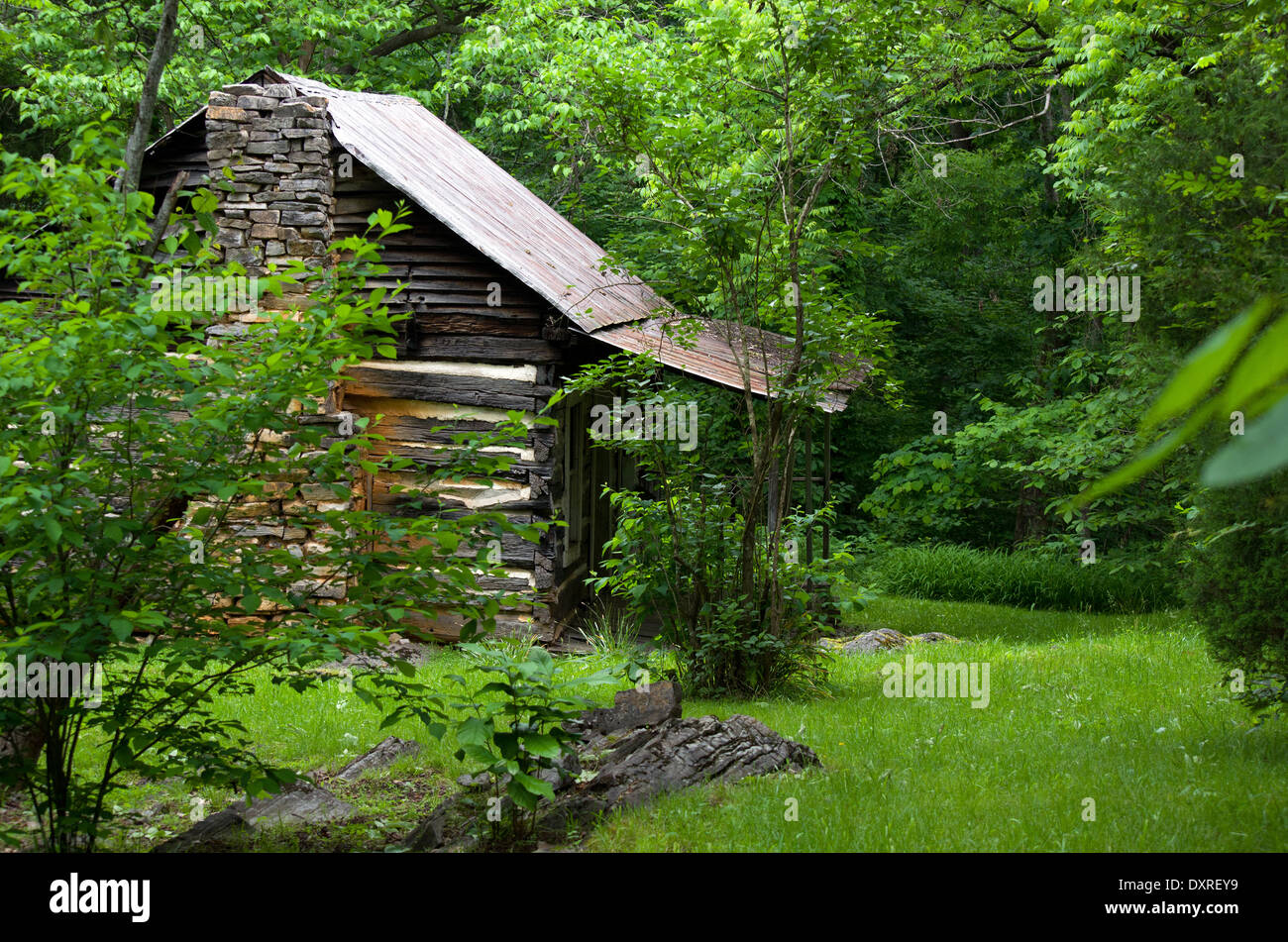 Old log cabin in the woods Stock Photo