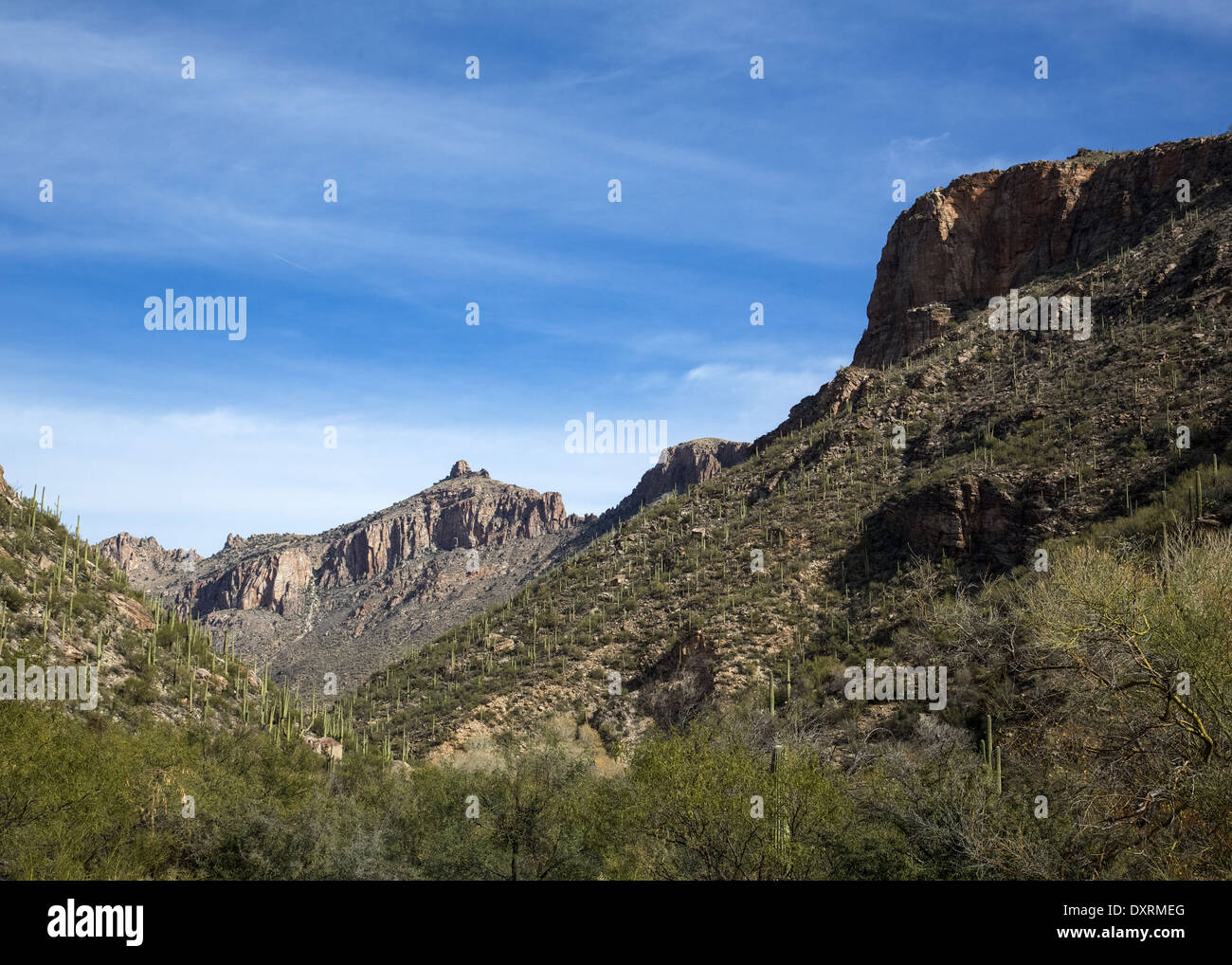 Arizona's Sabino Canyon Stock Photo Alamy