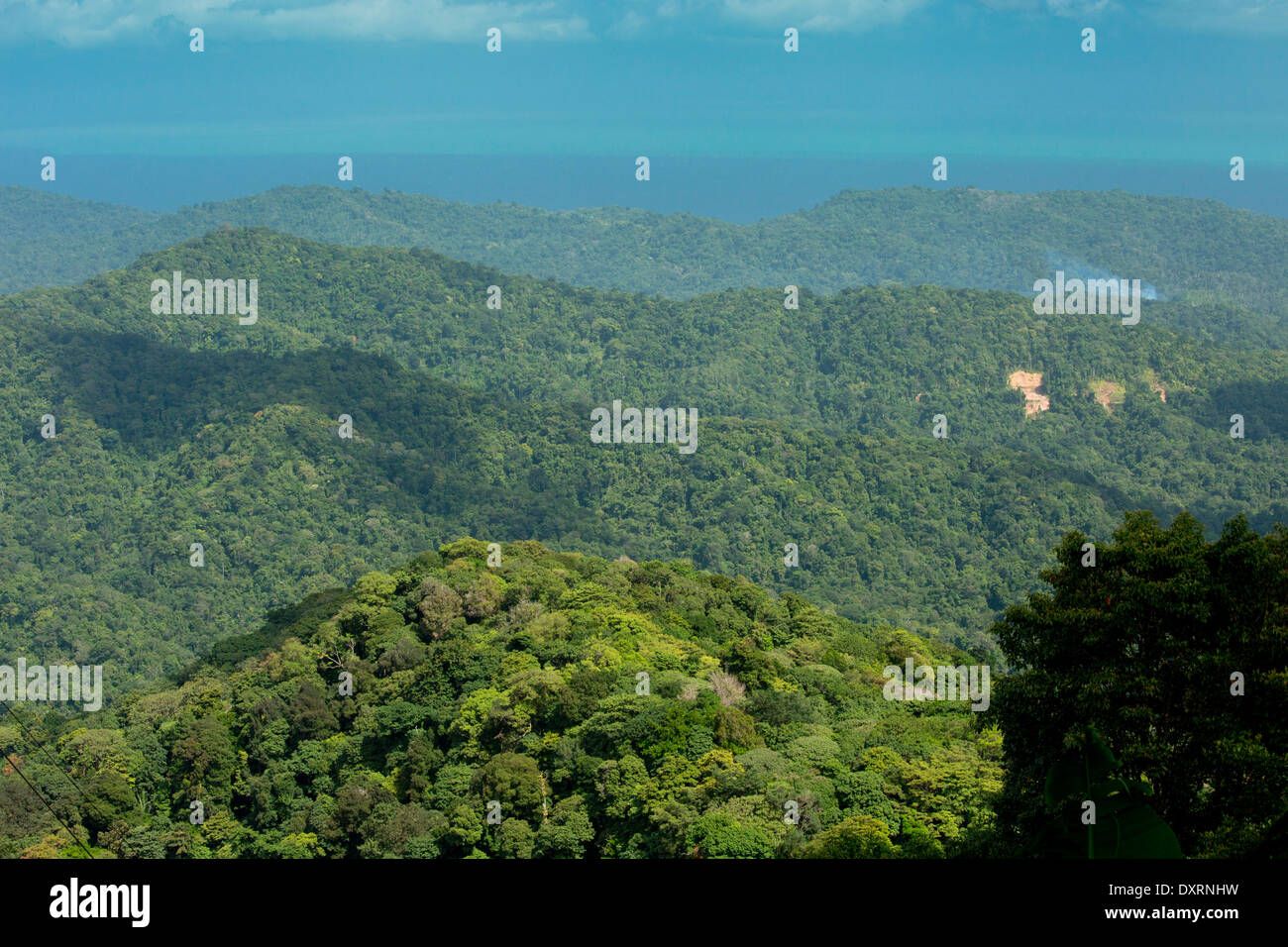 The forested protected Northern Range Mountains near Blanchisseuse, Trinidad. Stock Photo