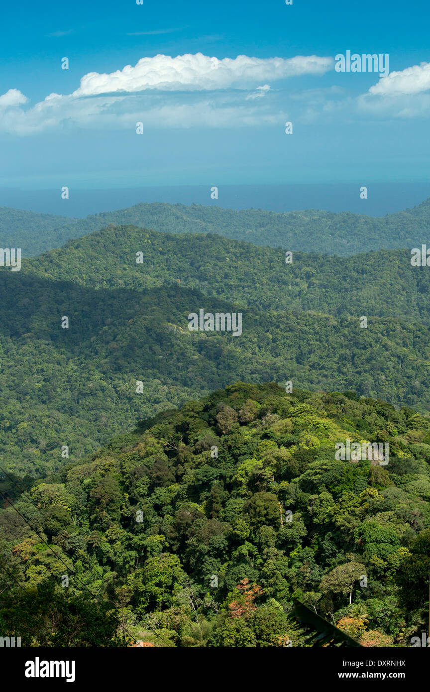 The forested protected Northern Range Mountains near Blanchisseuse, Trinidad. Stock Photo