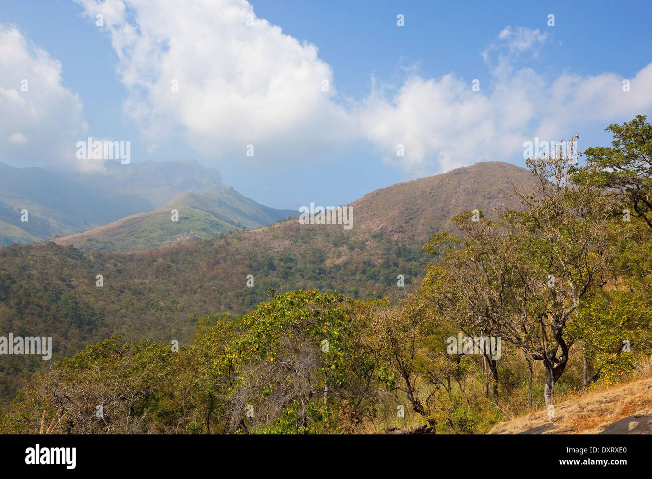 Rolling landscape and forest s of Karnataka in South India viewed from the heights of the Nilgiri hills near Kodaikanal Stock Photo