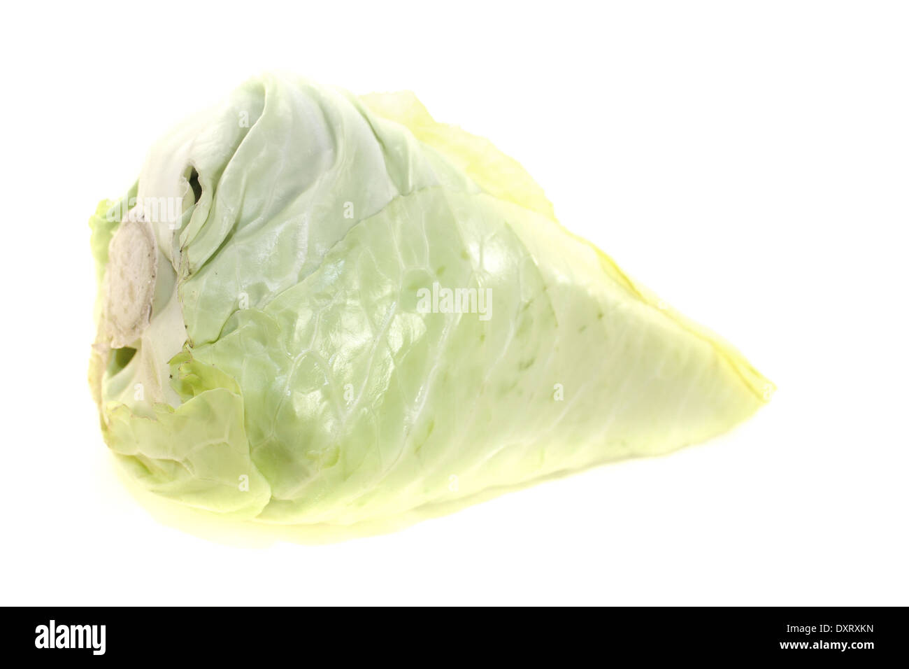 fresh pointed cabbage on a light background Stock Photo