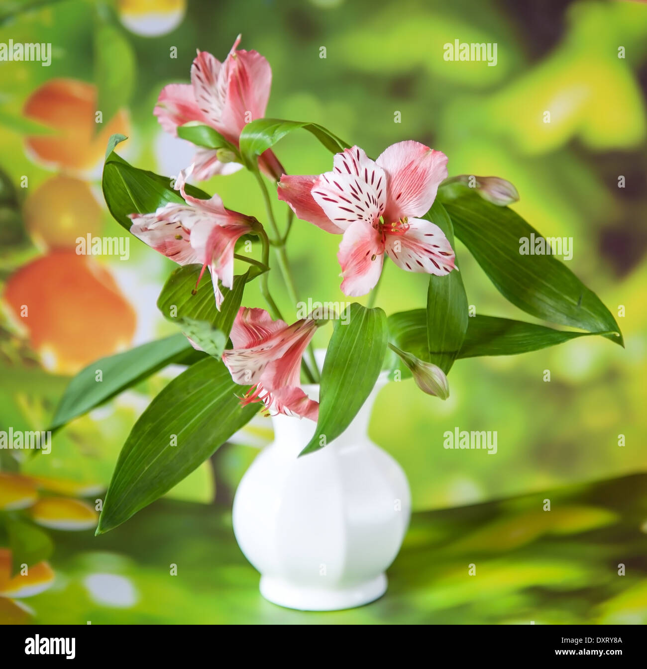 Beautiful alstroemeria lily flowers in white vase on green background Stock Photo