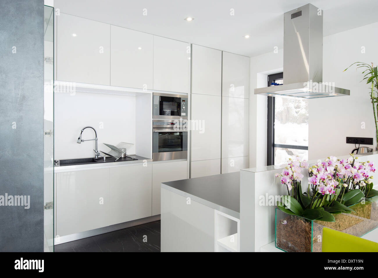 Modern kitchen interior Stock Photo - Alamy