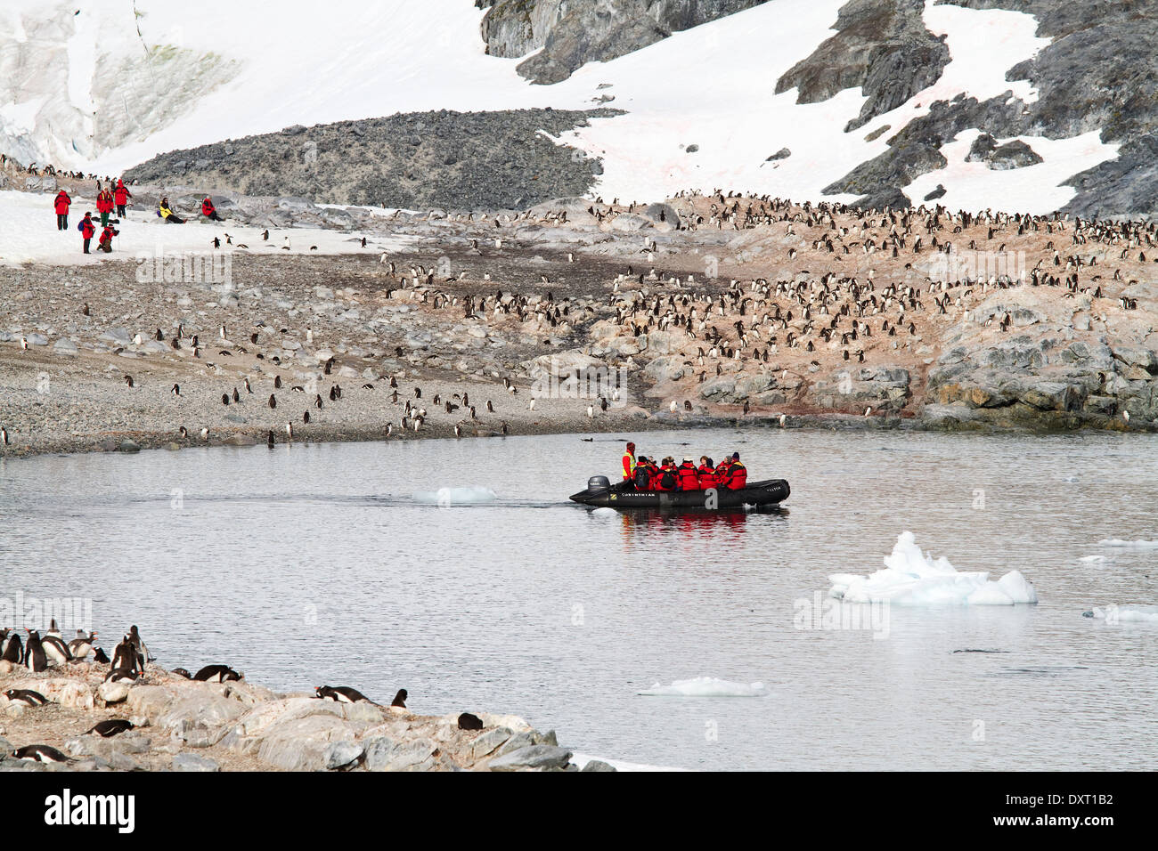 Antarctica tourism among the landscape of Antarctic iceberg, glacier, ice, and penguin with tourists in zodiacs. Stock Photo