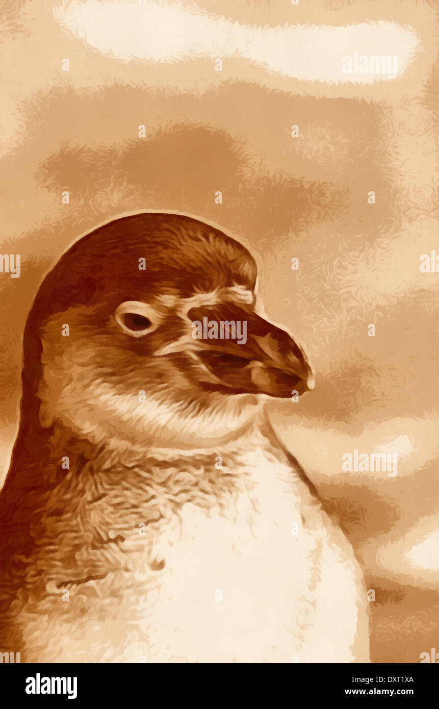 Penguin (Latin Spheniscidae) - a family of flightless seabirds