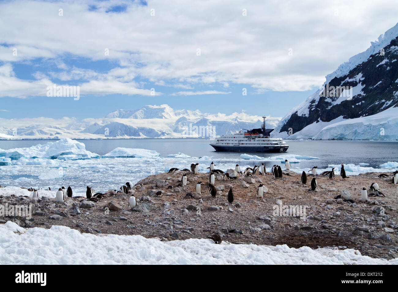 Cruise ship Antarctica expedition with tourist enjoy Antarctic landscape of penguins, mountains, Neko Harbor, Harbour. Stock Photo