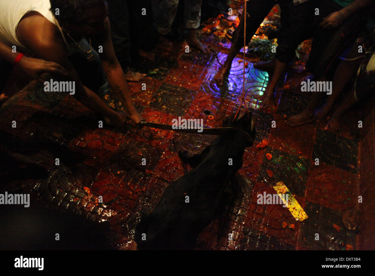 Sweeper Community Dhaka, Bangladesh. 30th Mar, 2014. Telugu, a sweeper community in ...
