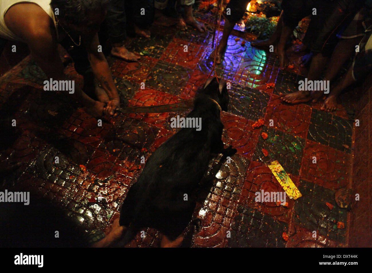 Sweeper Community Dhaka, Bangladesh. 30th Mar, 2014. Telugu, a sweeper community in ...
