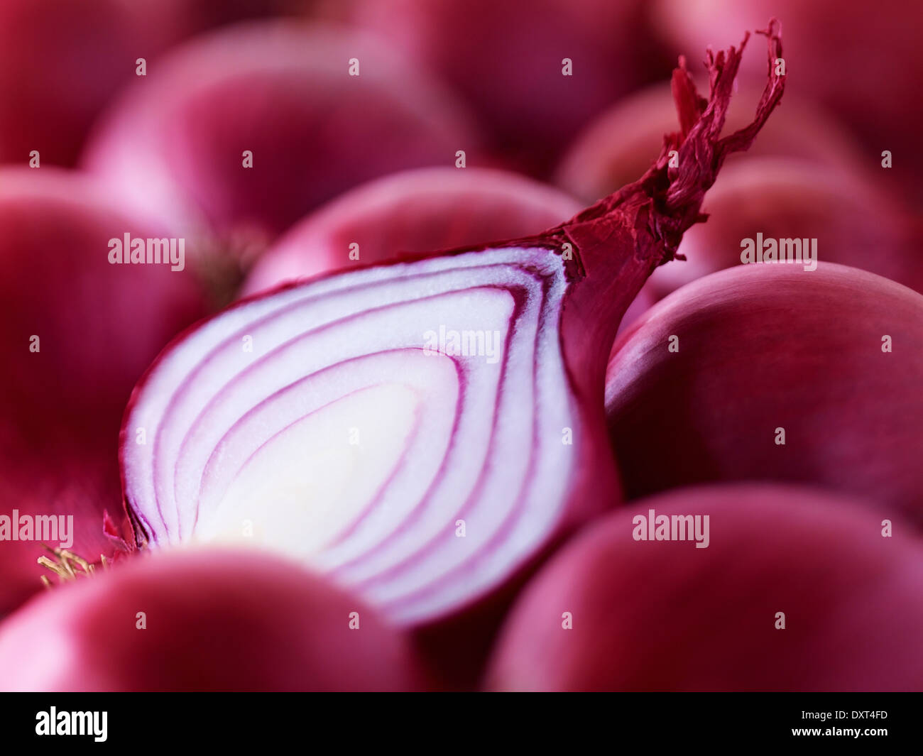 Onion being sliced hi-res stock photography and images - Alamy