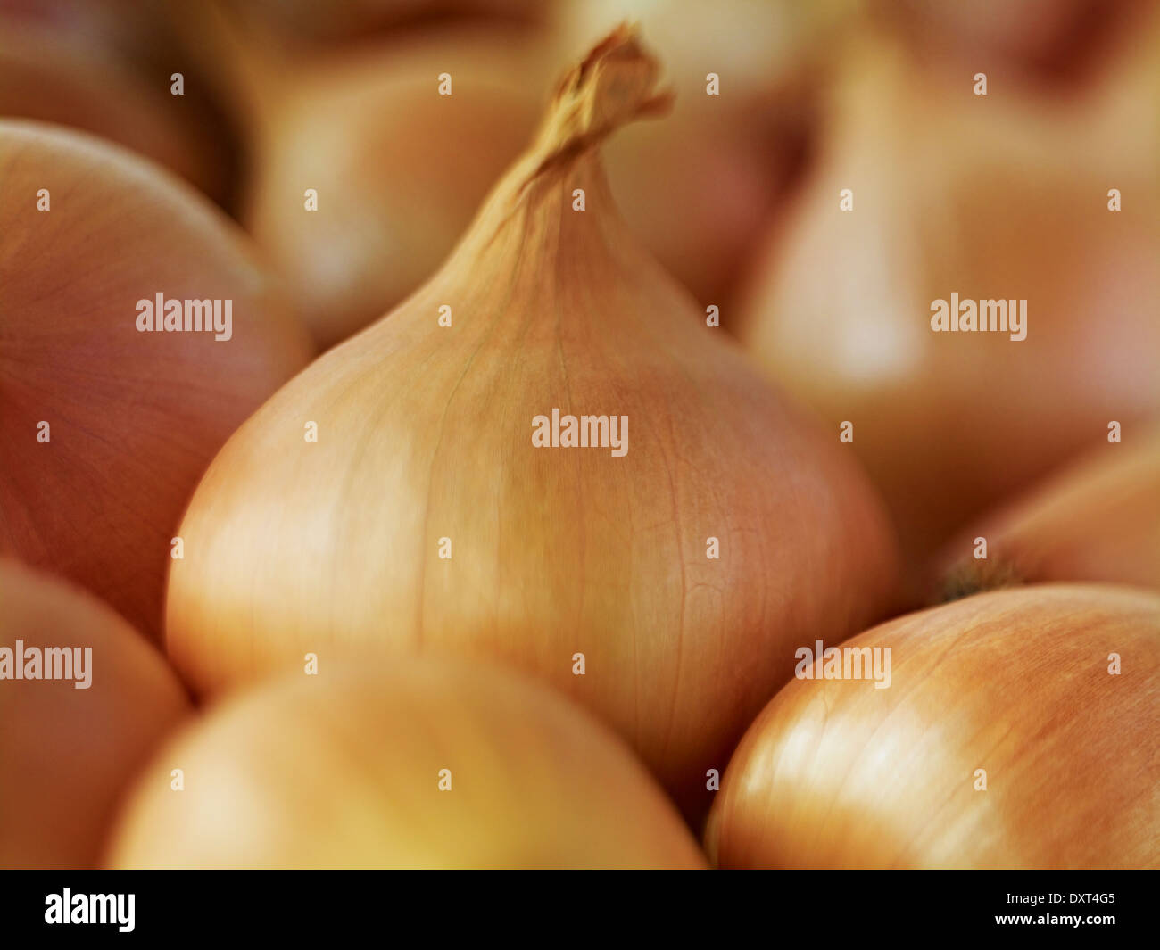 Whole objects hi-res stock photography and images - Alamy