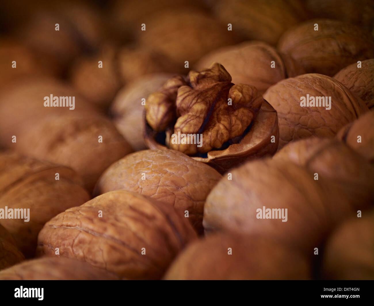 Extreme close up of walnuts shelled and in shell Stock Photo