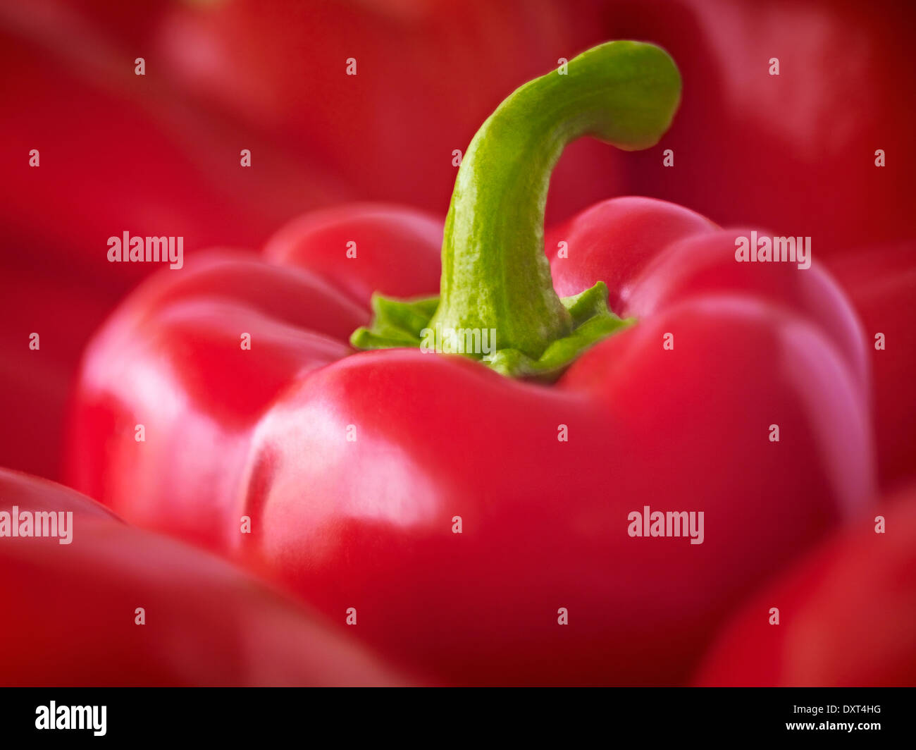 Close up shot red bell hi-res stock photography and images - Alamy
