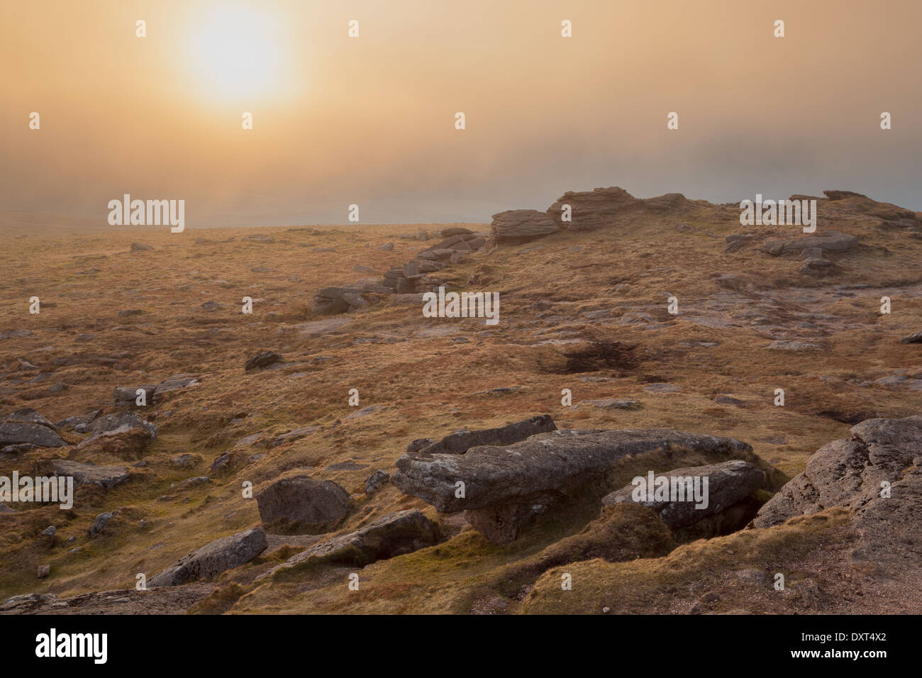 Yes Tor in the mist as the sun sets, Dartmoor national park Devon Uk Stock Photo