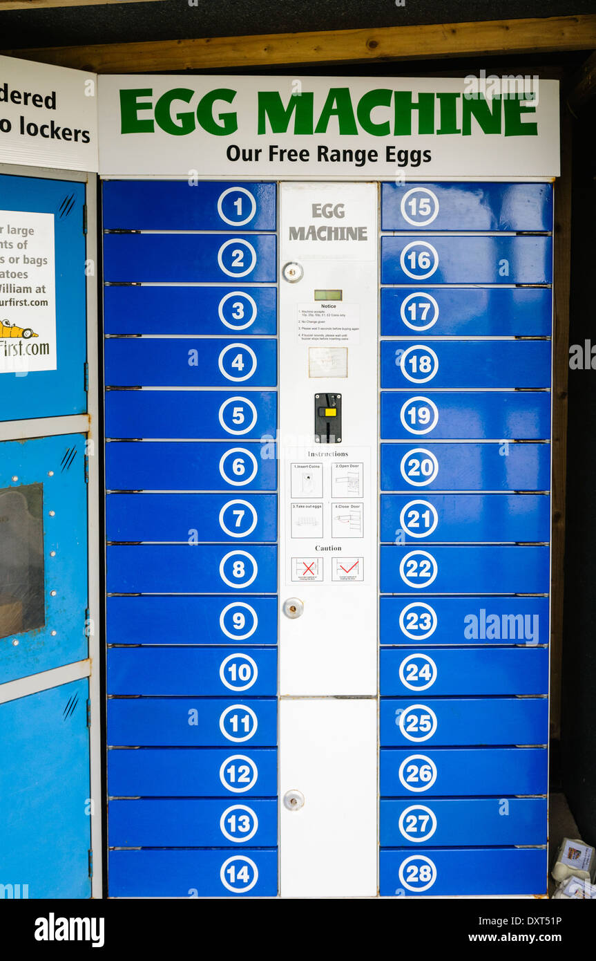 Free-range egg vending machine Stock Photo