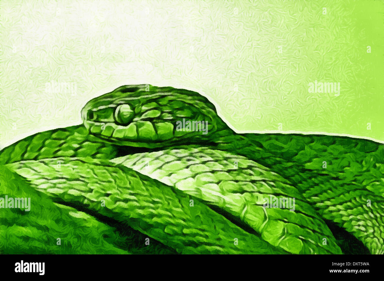 Green keffiyeh basket cells - Trimeresurus gumprechti Class Reptiles, or - Reptilia suborder Snakes , green pit viper Stock Photo