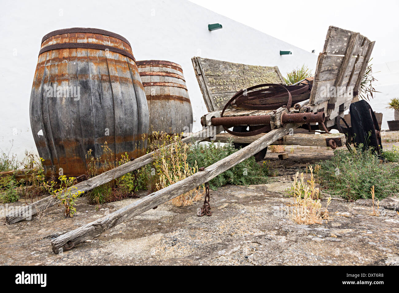 Barrels and old cart at Bodegas el Grifo wine museum, La Geria, Lanzarote, Canary Islands, Spain Stock Photo