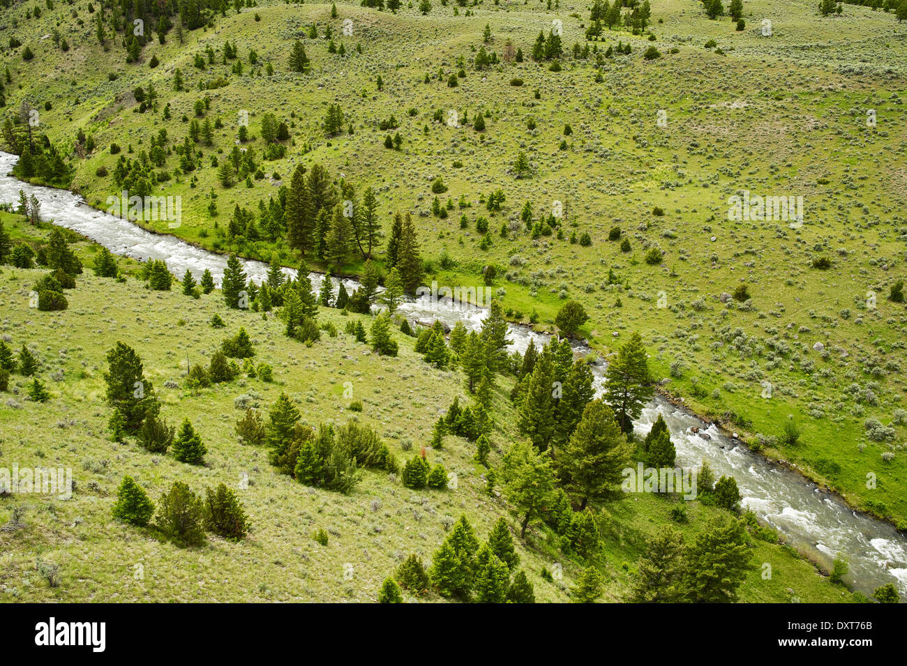 Valley and the River. Aerial Photography of Beautiful Wyoming Valley. Wyoming Photography Collection. Stock Photo