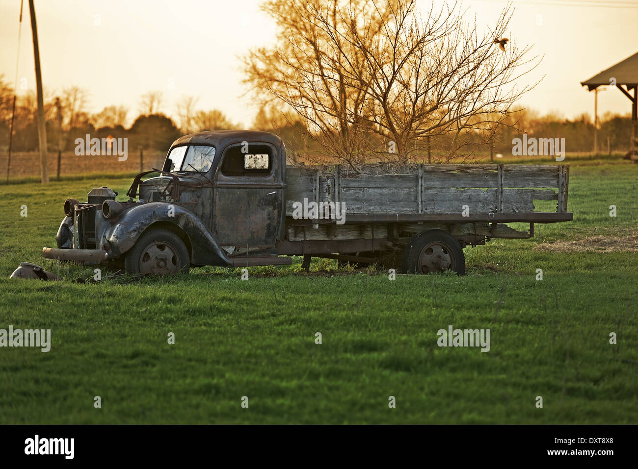 Rustic Pick Up Rustic Old Pickup Truck on the Backyard. Abandoned Old Truck. History ...