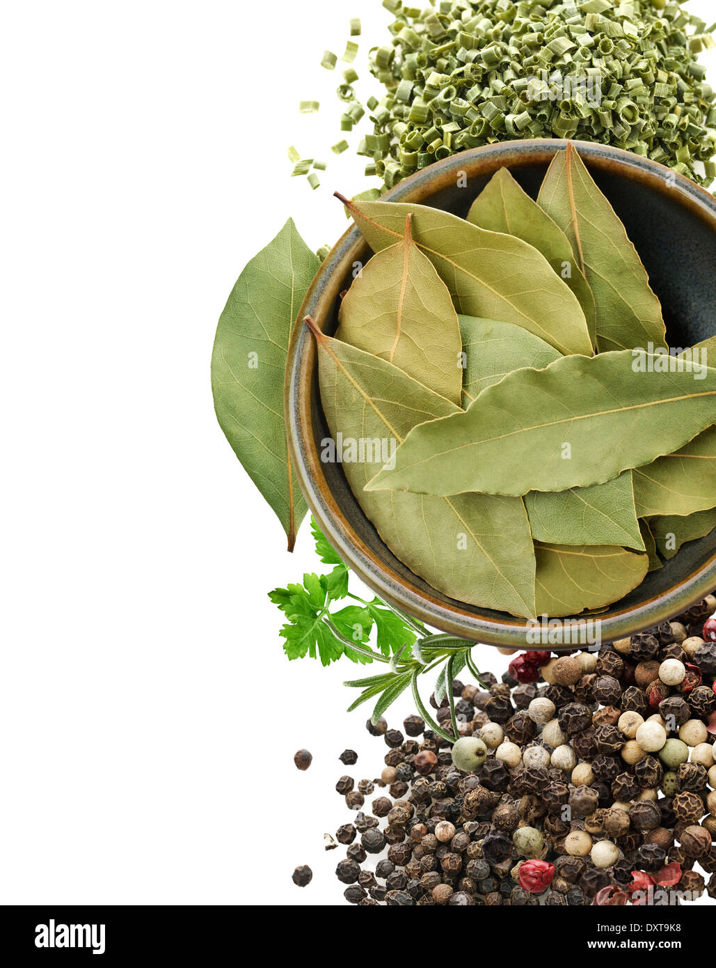 Various Spices And Herbs On A White Background Stock Photo