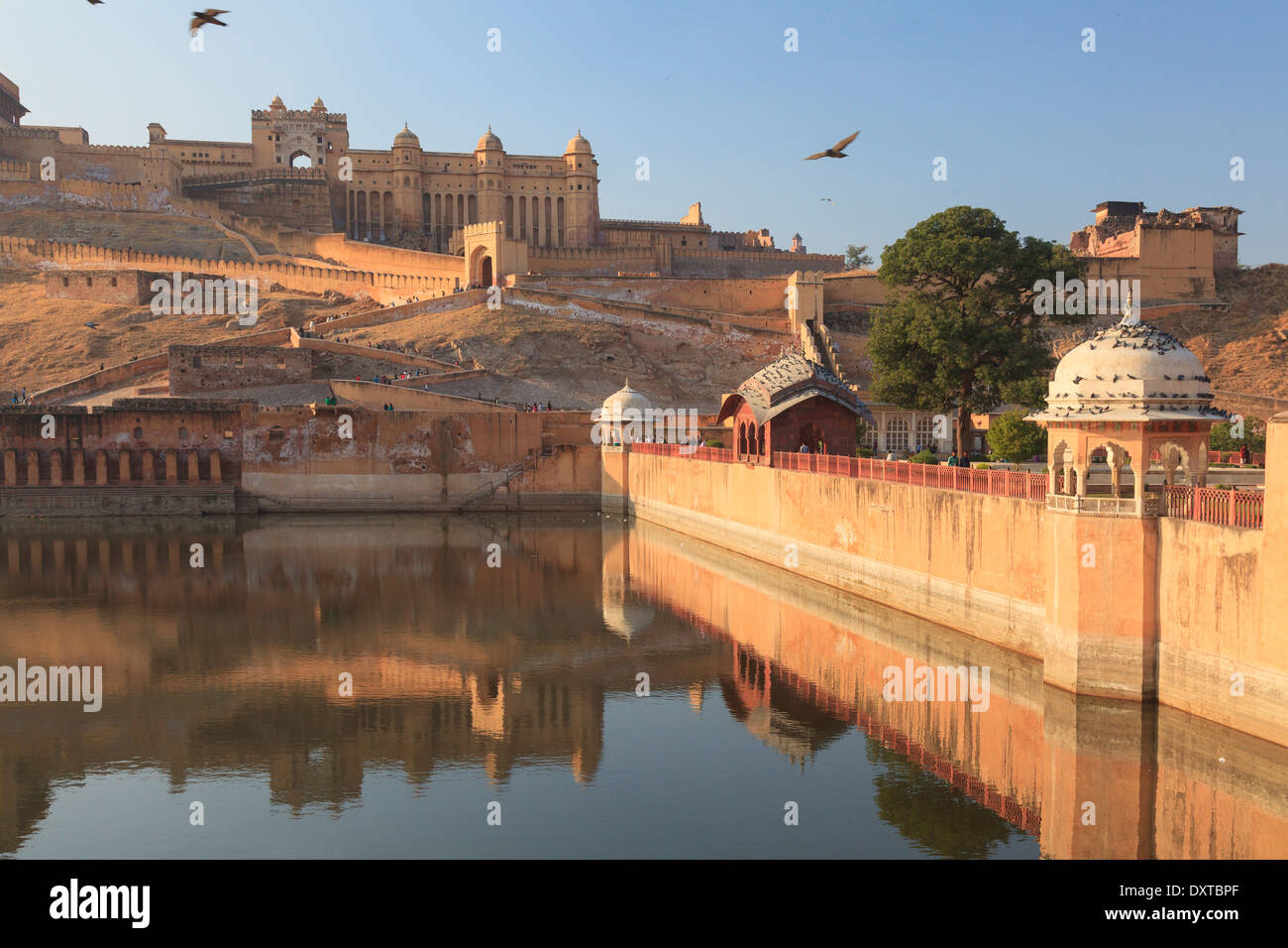 India, Rajasthan, Jaipur, Amber Fort Stock Photo