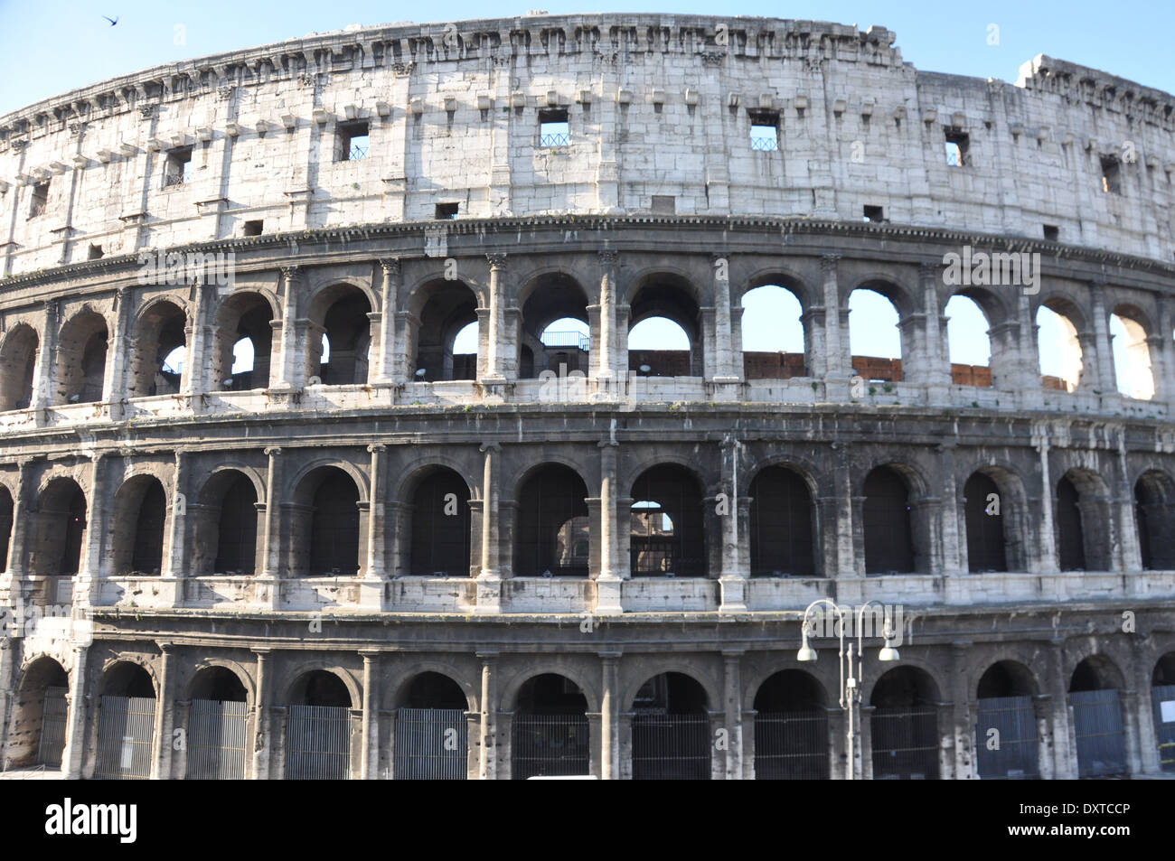 Colosseo flavian amphitheatre hi-res stock photography and images - Alamy