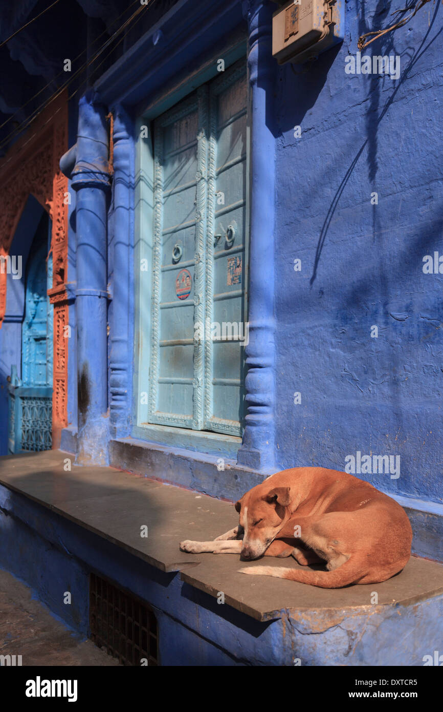 India, Rajasthan, Jodhpur, Old Town Stock Photo