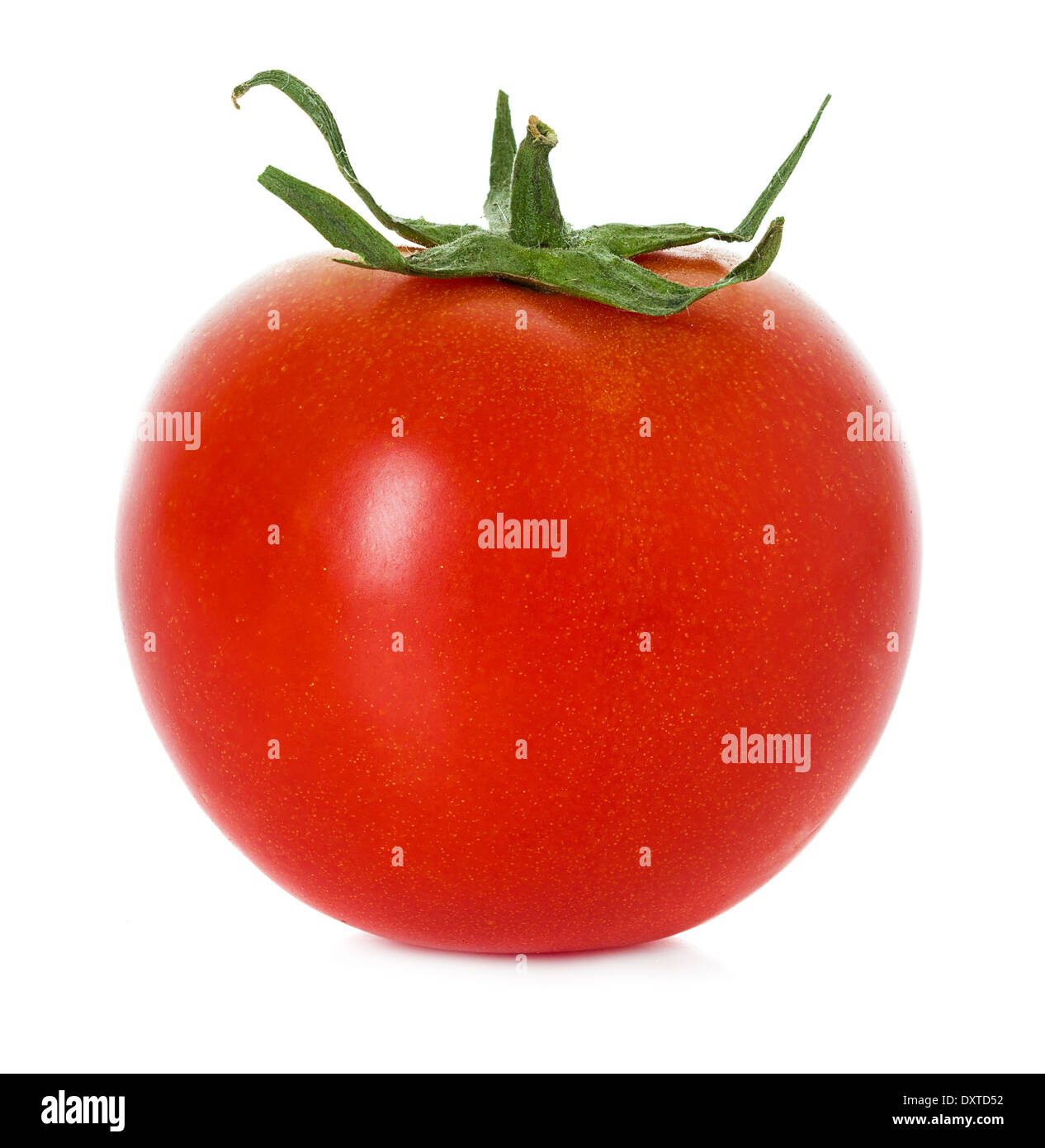tomato isolated Stock Photo